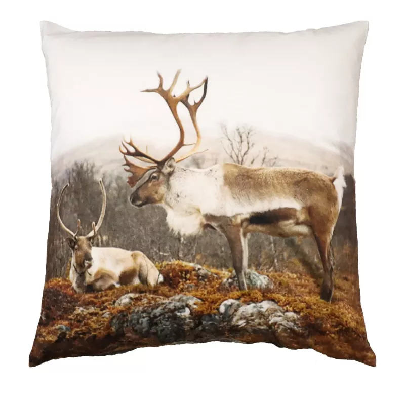 Vilhelmina Kuddfodral Ren