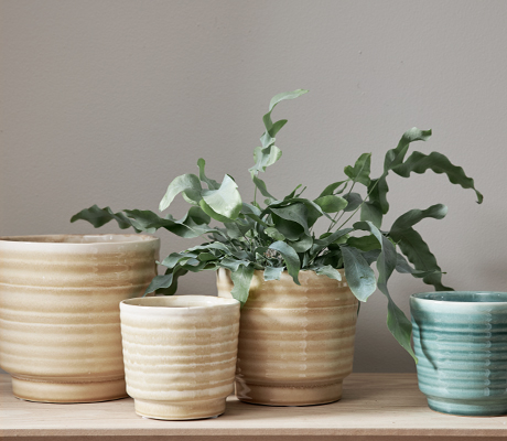 Ajla Kruka Petrol/Grön