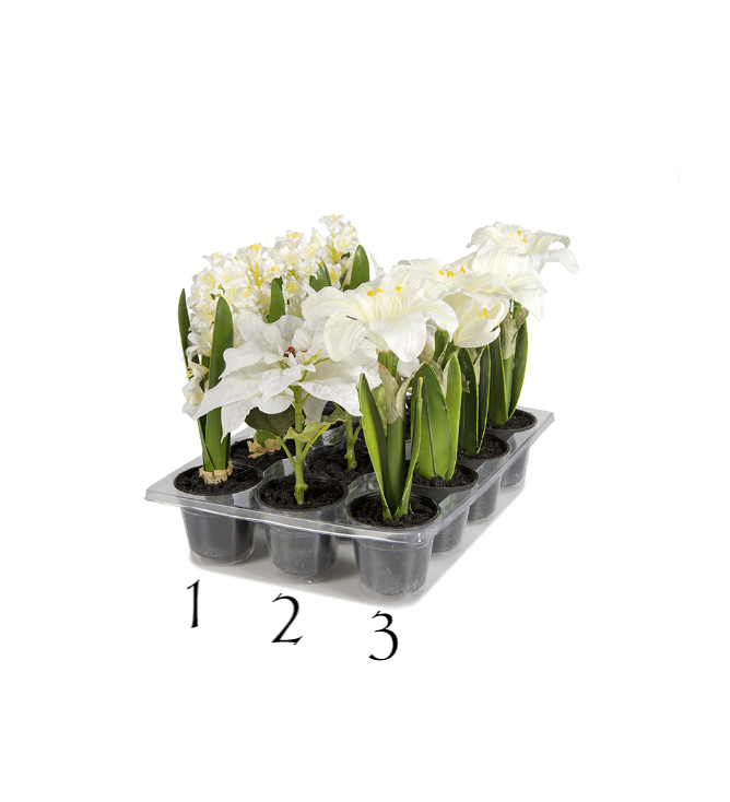 Julblommor Mini - 1: Hyacint