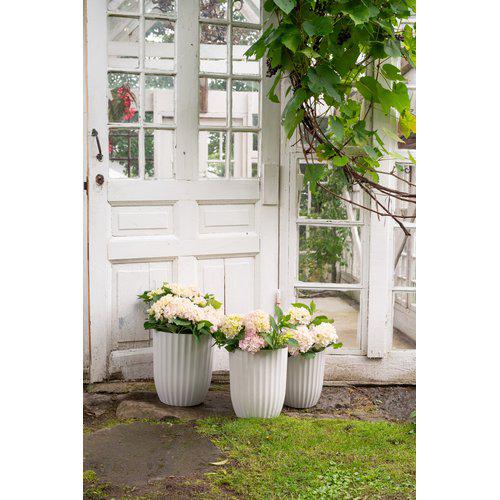 Yodit Kruka Sandmelerad Large