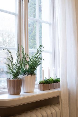 Edna Kruka Vit Small