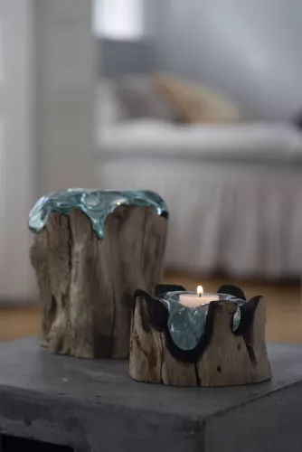 Glaslykta på trädrot