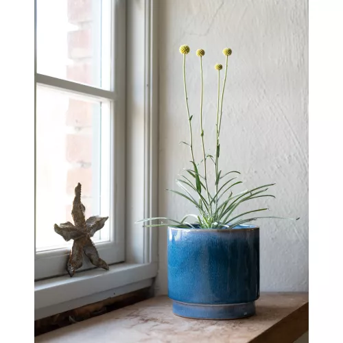 Galia Kruka Blå Small