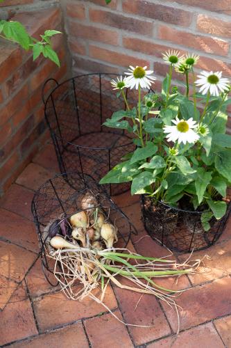 Glea Korg Svart Medium