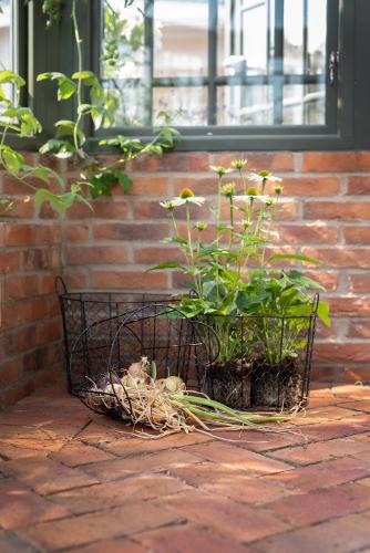 Glea Korg Svart Small