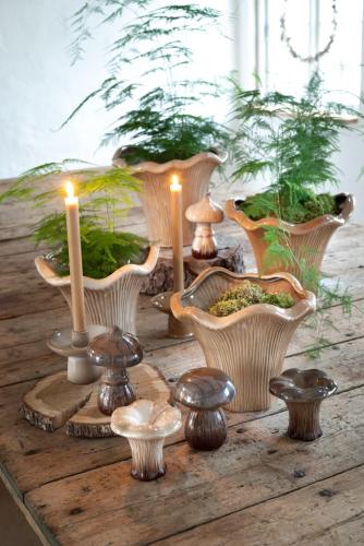 Mushrooms Keramiksvamp Brun