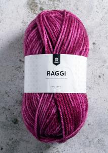 Järbo  Raggi