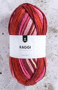 Järbo  Raggi