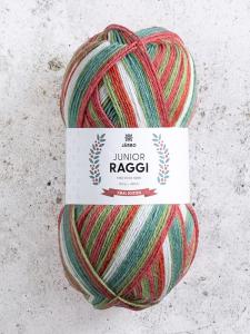 Junior Raggi 100g Xmas Edition
