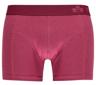 TOPECO BOXER