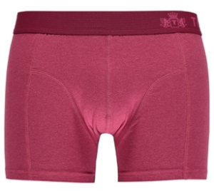 TOPECO BOXER