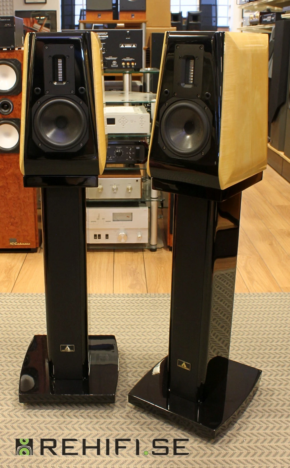 スピーカー・ウーファー AURUM CANTUS LEISURE2 se AURUM CANTUS Leisure2SE MK2J/ローズウッド（2本1組