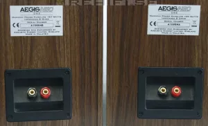 Acoustic Energy Aegis Neo