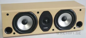 Acoustic Energy Aesprit 307