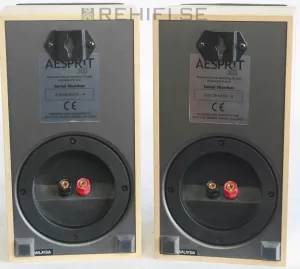 Acoustic Energy Aesprit 301