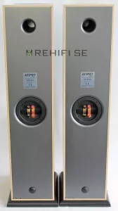 Acoustic Energy Aesprit 309