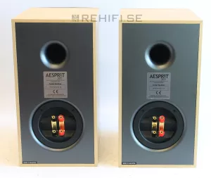 Acoustic Energy Aesprit 300