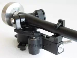 Acoustic Solid WTB 303