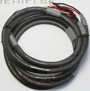 Acoustic Zen Double Barel