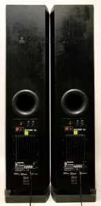 Audio Pro Avantek Nine