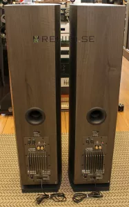 Audio Pro Avanti A.100