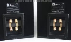 Audio Pro Black Pearl