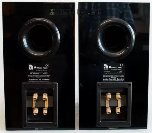Audio Pro Black Pearl