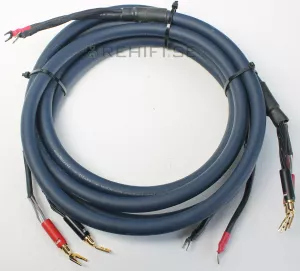 Audioquest Truth Plus