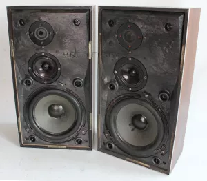 Bang Olufsen B&O Beovox S45