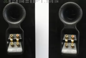 Bowers & Wilkins / B&WCM5