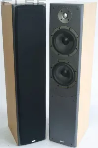 Bowers & Wilkins / B&W DM-309