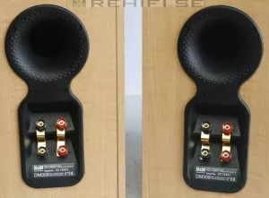 Bowers & Wilkins / B&W DM-309