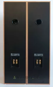 Bowers & Wilkins B&W DM-603s2