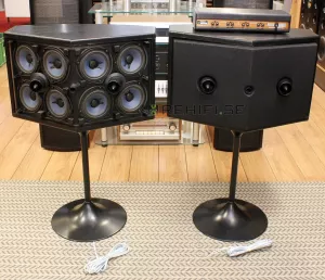 Bose 901 Series VI