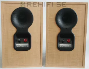 Bowers & Wilkins B&W DM303