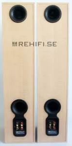 Bowers Wilkins B&W DM309