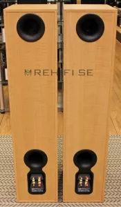 Bowers Wilkins B&W DM309