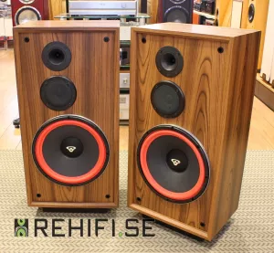 Cerwin Vega DX-5