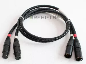 Chapter Audio Verse 2