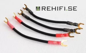 Chord Signature Links