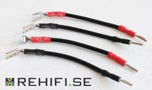 Chord Signature Links