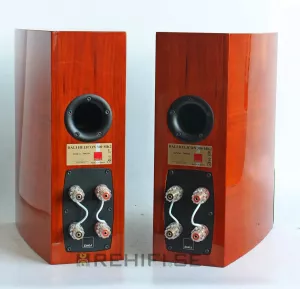 Dali Helicon 300 mkII