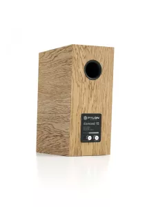 Pylon Audio Diamond Monitor 15