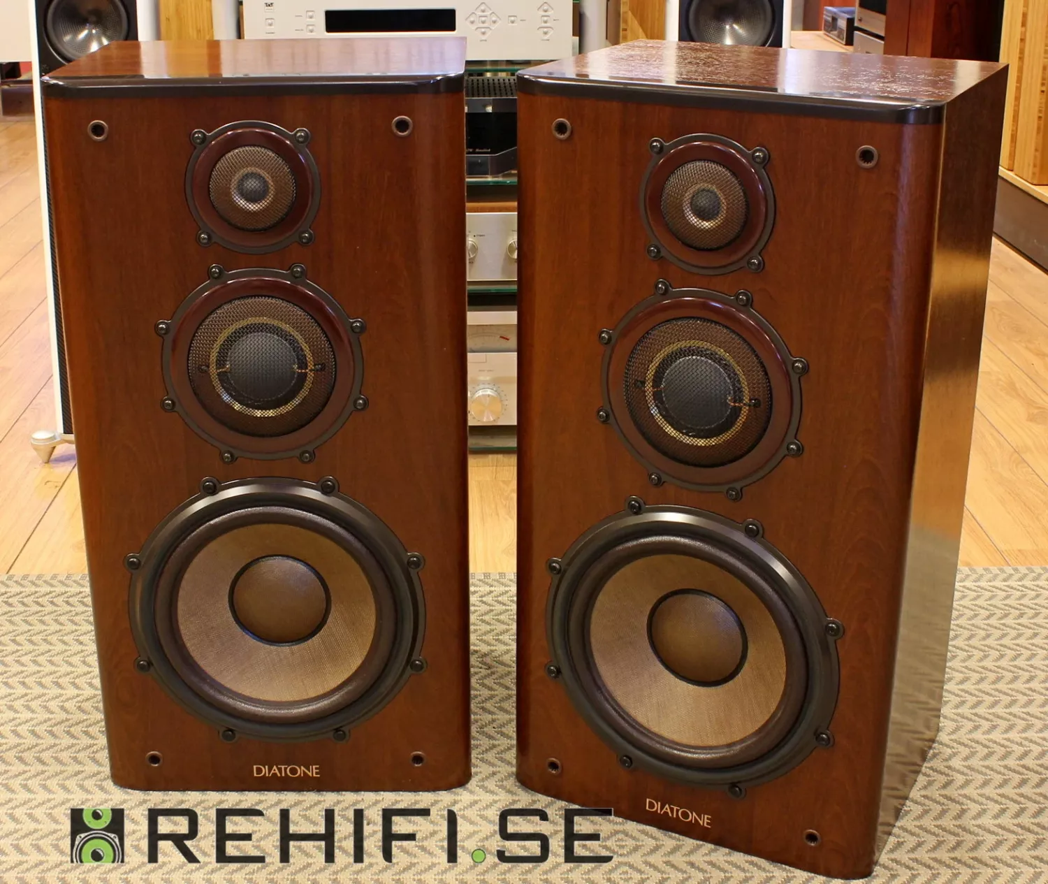 Diatone DS-1000ZX