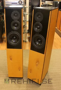 DIY / Scan Speak Högtalare