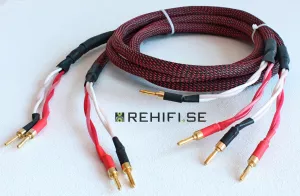 Dynavox Perfect Sound