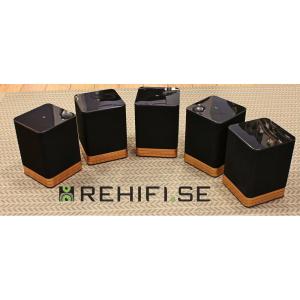 Electrocompaniet Tana SL-1 / L-1