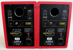 Monkey Banana Gibbon 5