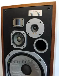 Pioneer HPM-100