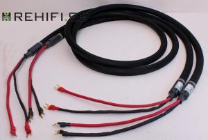 Purist Audio Design Aqueous Aureus Praesto Revision